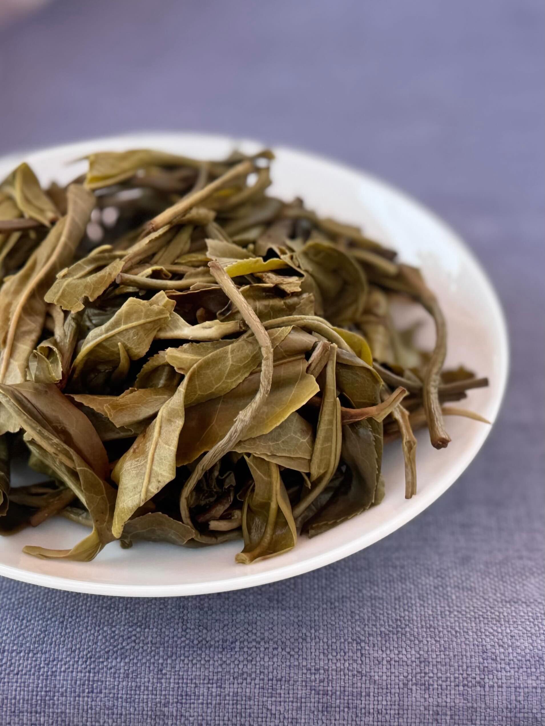 What does it really take to source great tea?It meant hiking into the forests of Yunnan, where farmers hand-pick every leaf and press it in a wok the same way they always have.We came to source Pu-erh. We stayed to understand it. 🍃#hencetea #puerhtea #yunnan #teafarming #springharvest